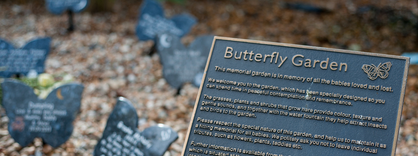 the Butterfly Garden welcome sign