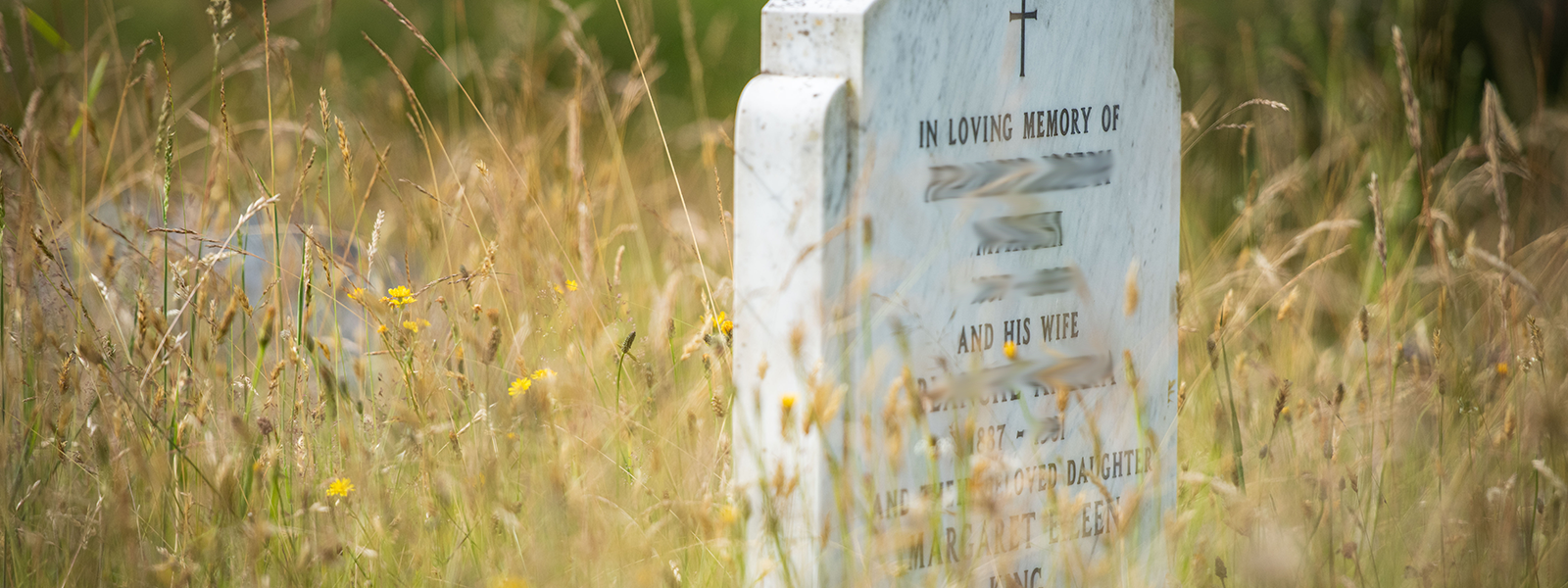 Gravestone in long grass