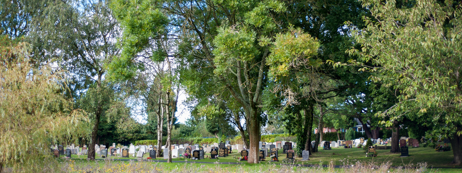 Graves at north cemetery