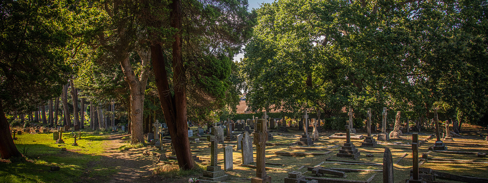 Tree scene with gravestones in parkstone cemetery