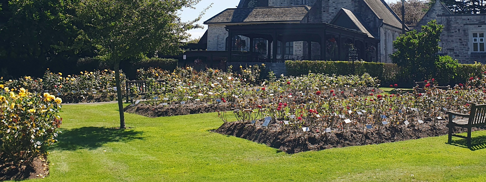 The memorial rose garden at Bournemouth Crematorium