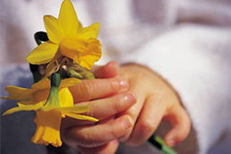 child holding daffodils