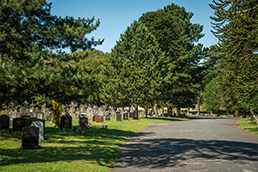 graves at East cemetery