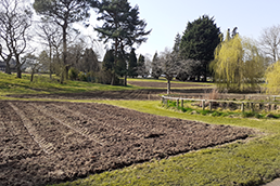 Grounds maintenance ground preparation for wildflowers