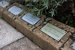 A kerb stone plaque