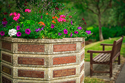 An octagonal planter in Poole