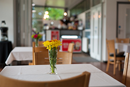 A table in Woodpecker Cafe